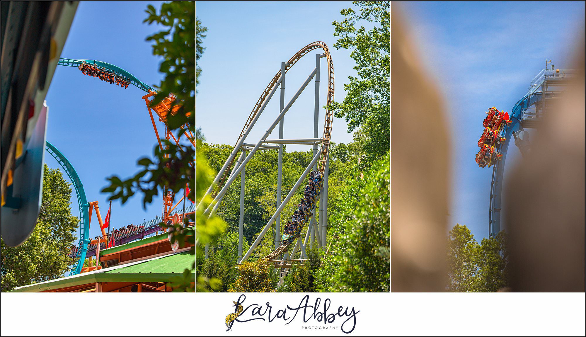 The Adventuring Abbeys go to Busch Gardens Williamsburg