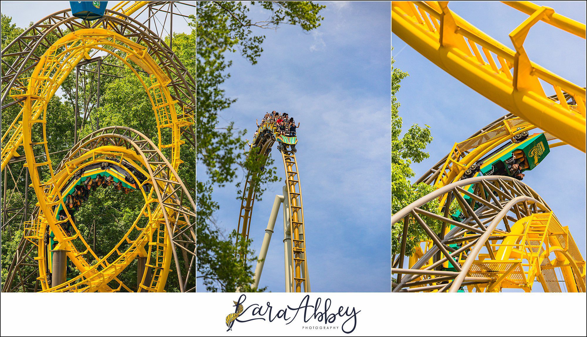 The Adventuring Abbeys go to Busch Gardens Williamsburg