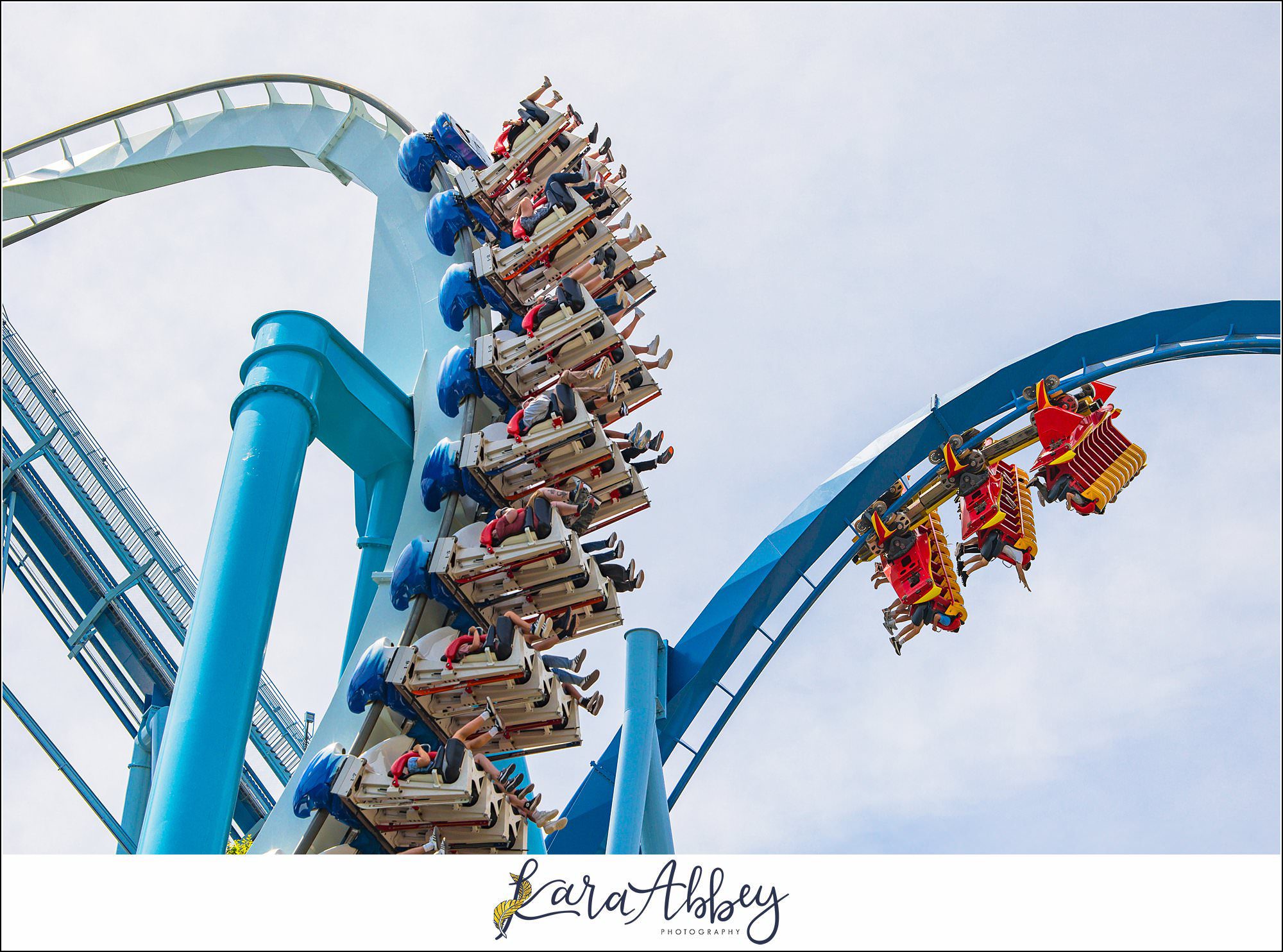 The Adventuring Abbeys go to Busch Gardens Williamsburg