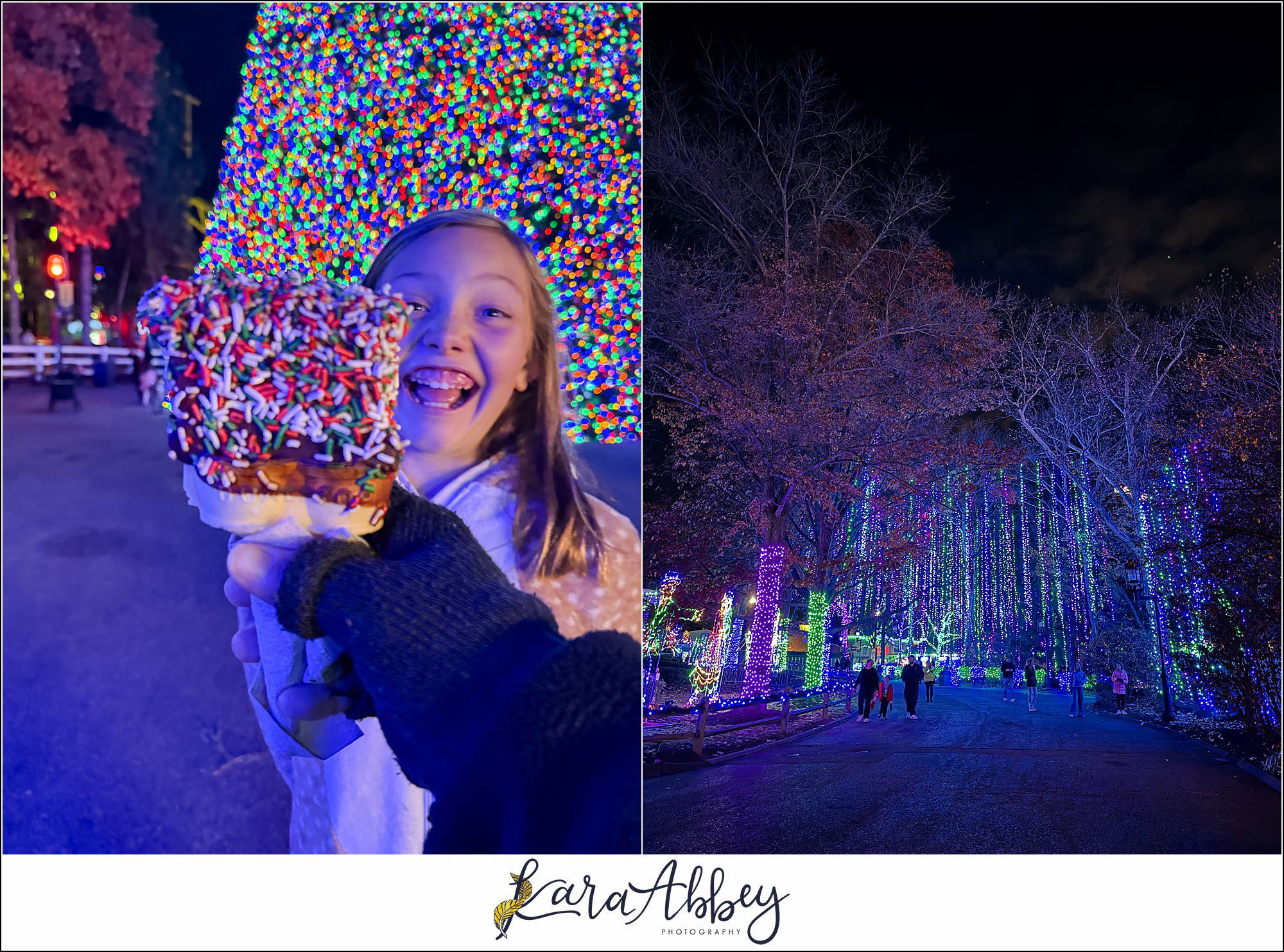 Kennywood Park Holiday Lights 2025