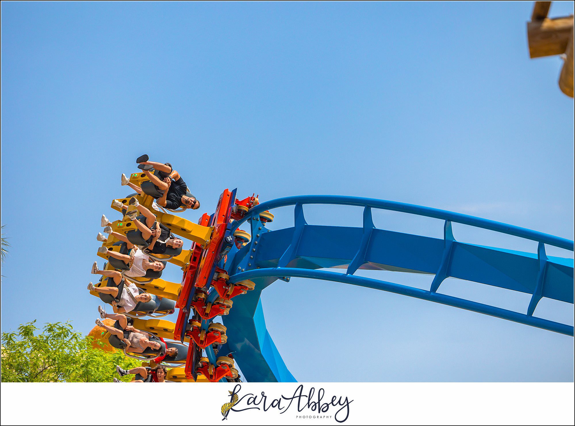 2025 Favorites Roller Coaster Photography Busch Gardens Tampa