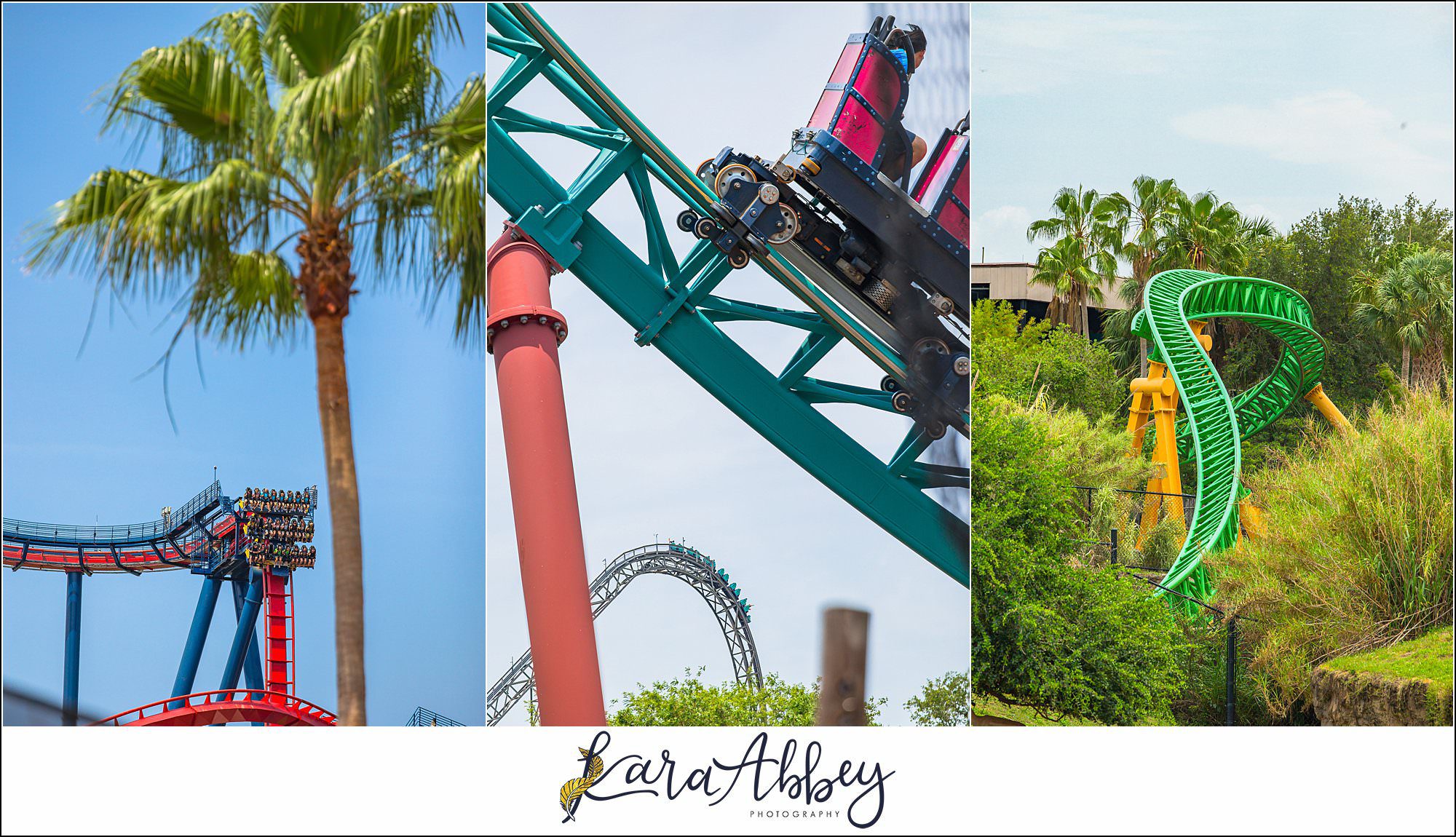 2025 Favorites Roller Coaster Photography Busch Gardens Tampa