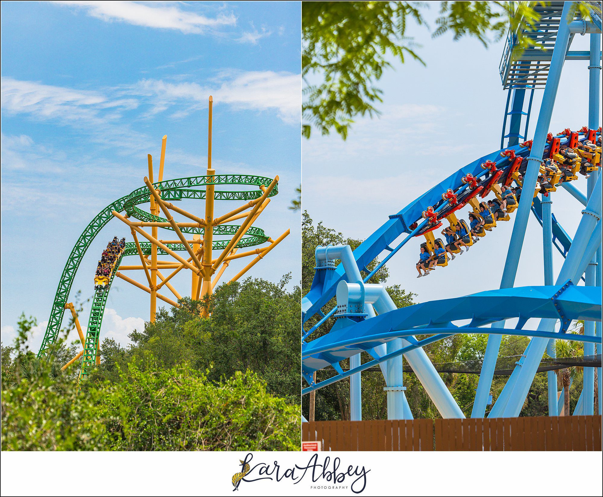2025 Favorites Roller Coaster Photography Busch Gardens Tampa