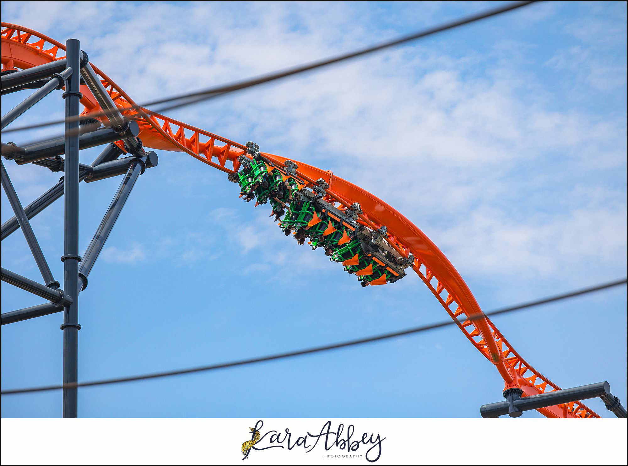 2025 Favorites Roller Coaster Photography Busch Gardens Tampa