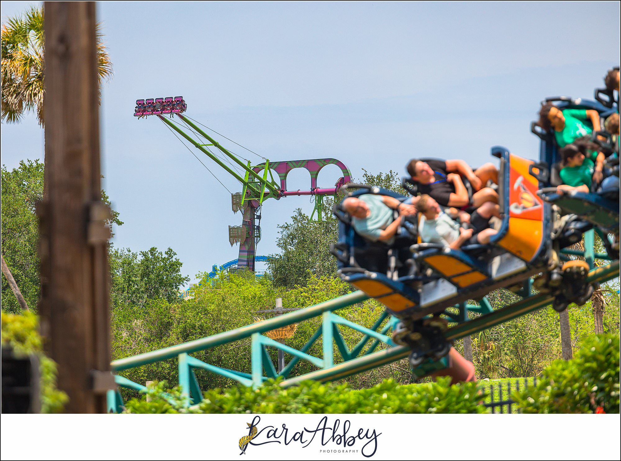 2025 Favorites Roller Coaster Photography Busch Gardens Tampa