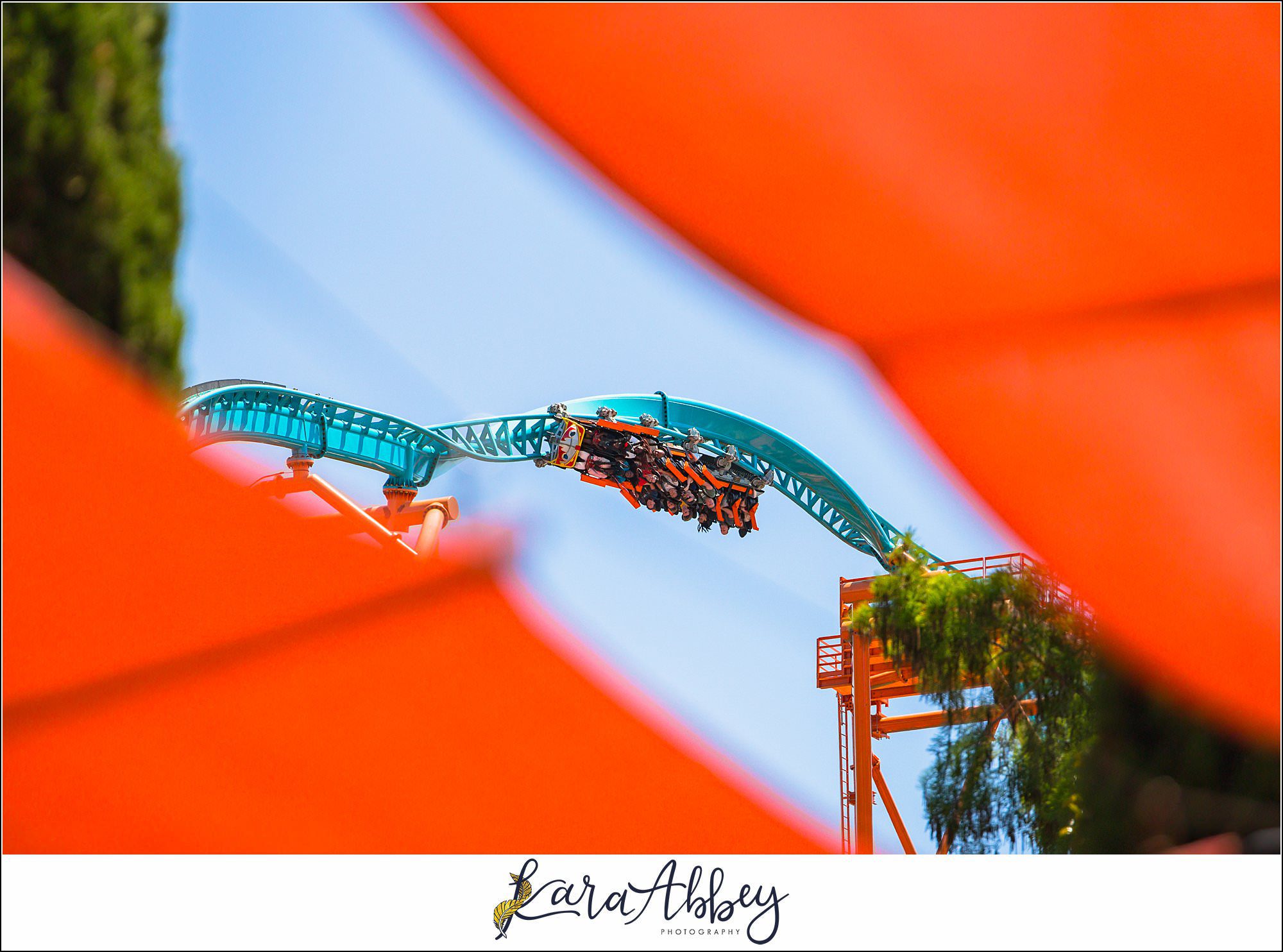 2025 Favorites Roller Coaster Photography Busch Gardens Williamsburg