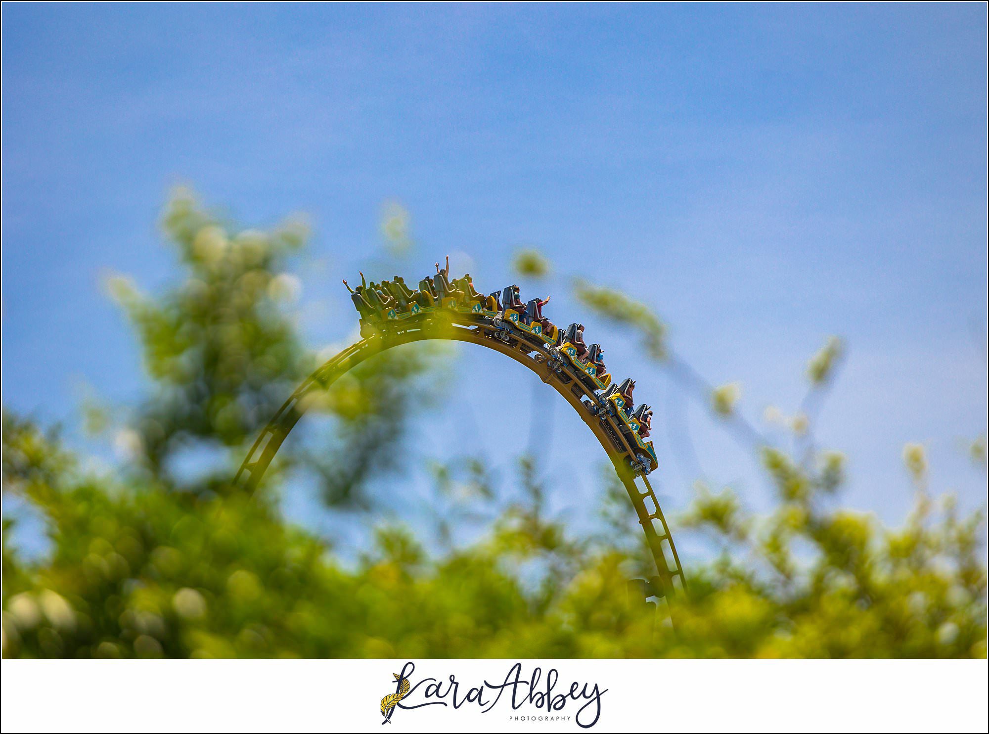 2025 Favorites Roller Coaster Photography Busch Gardens Williamsburg