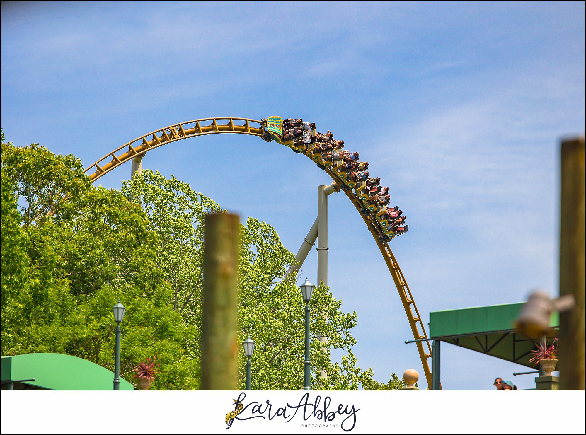 2025 Favorites Roller Coaster Photography Busch Gardens Williamsburg