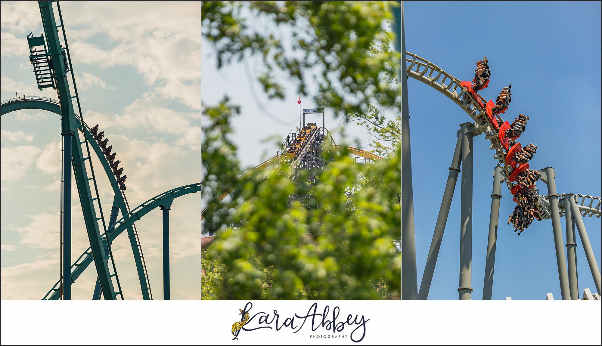 2025 Favorites Roller Coaster Photography Canadas Wonderland