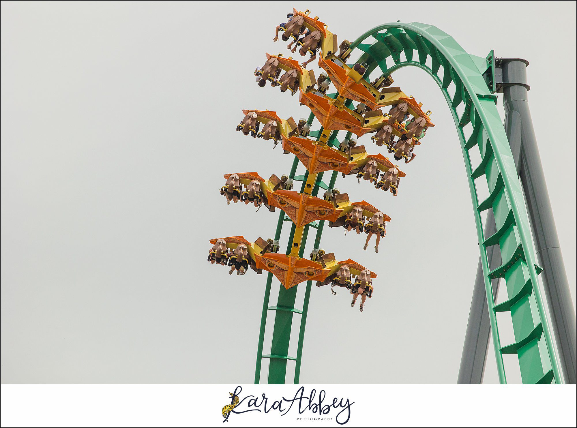 2025 Favorites Roller Coaster Photography Kings Dominion
