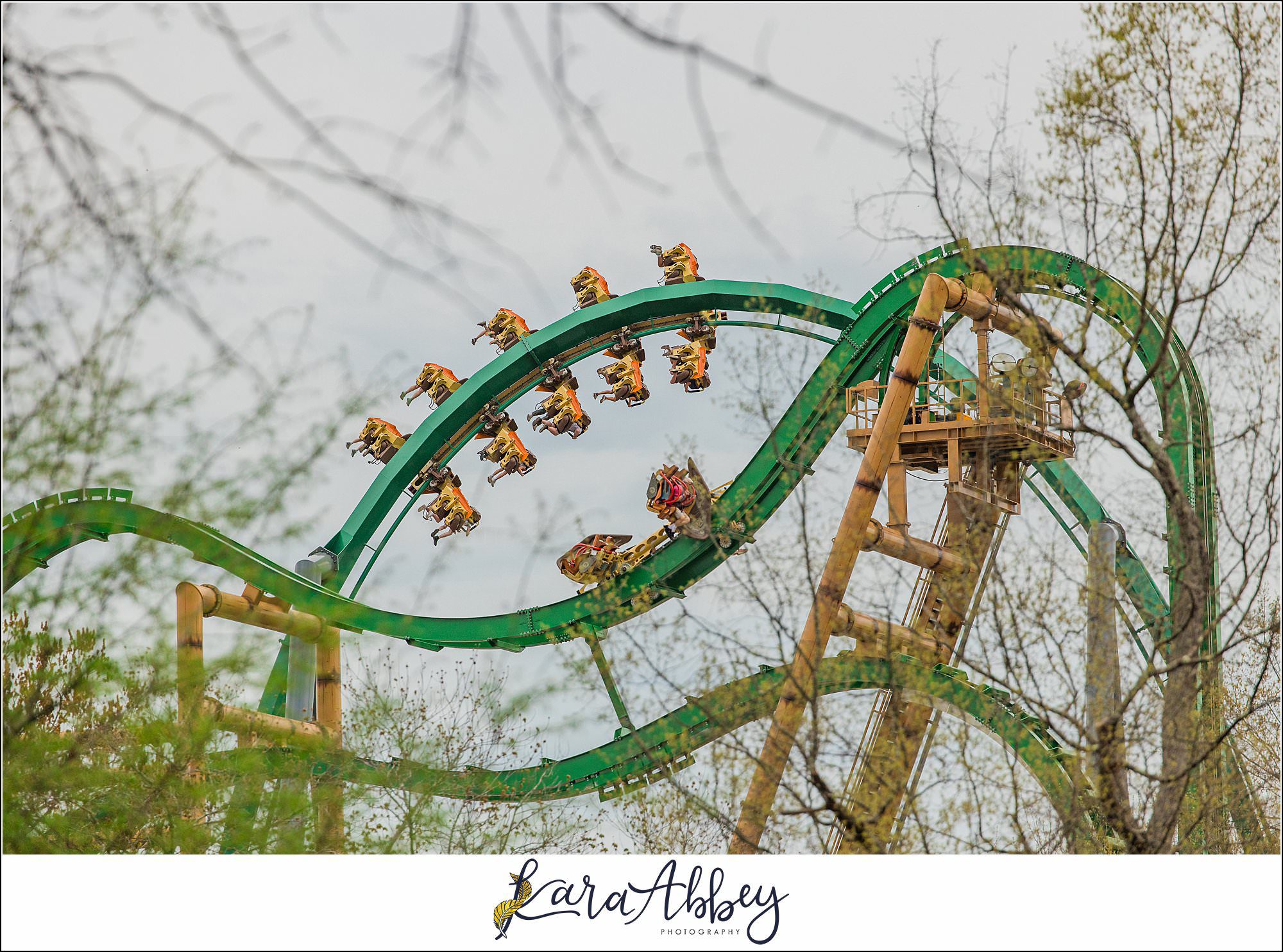 2025 Favorites Roller Coaster Photography Kings Dominion