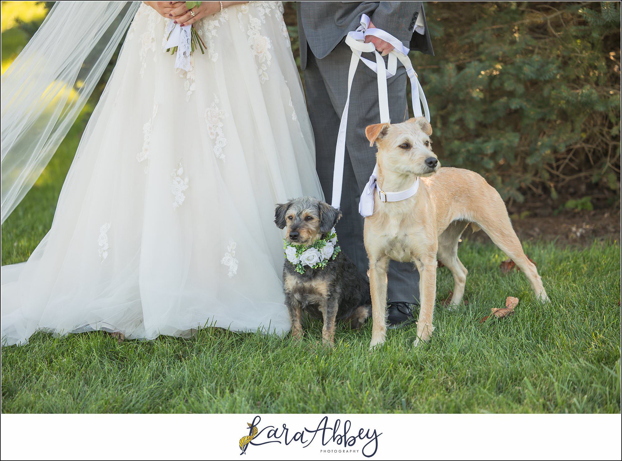 Amazing Wedding Photography by Irwin PA Photographer