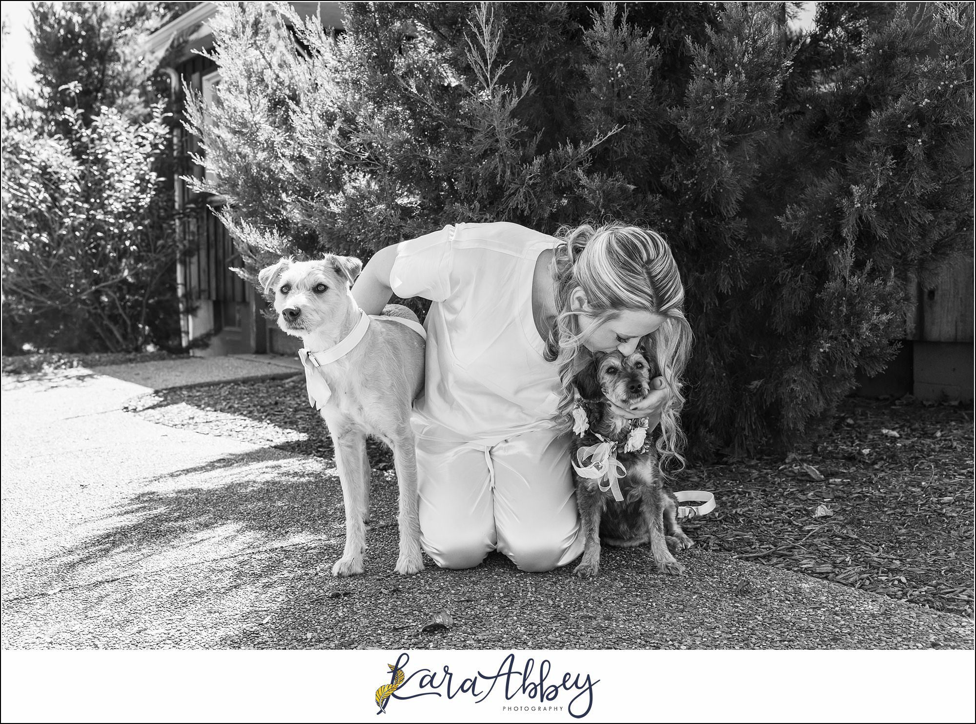 Amazing Wedding Photography by Irwin PA Photographer