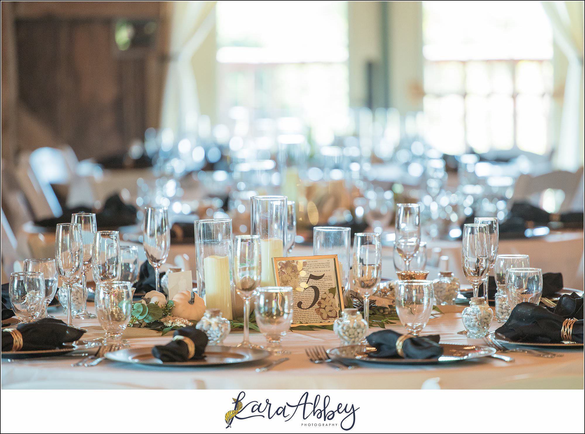Amazing Wedding Photography by Irwin PA Photographer