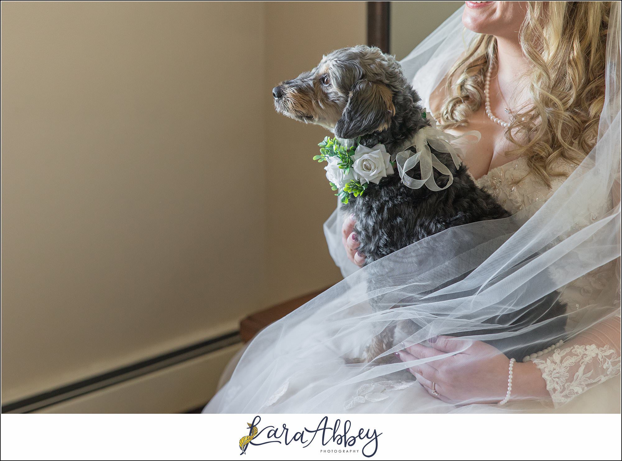 Amazing Wedding Photography by Irwin PA Photographer