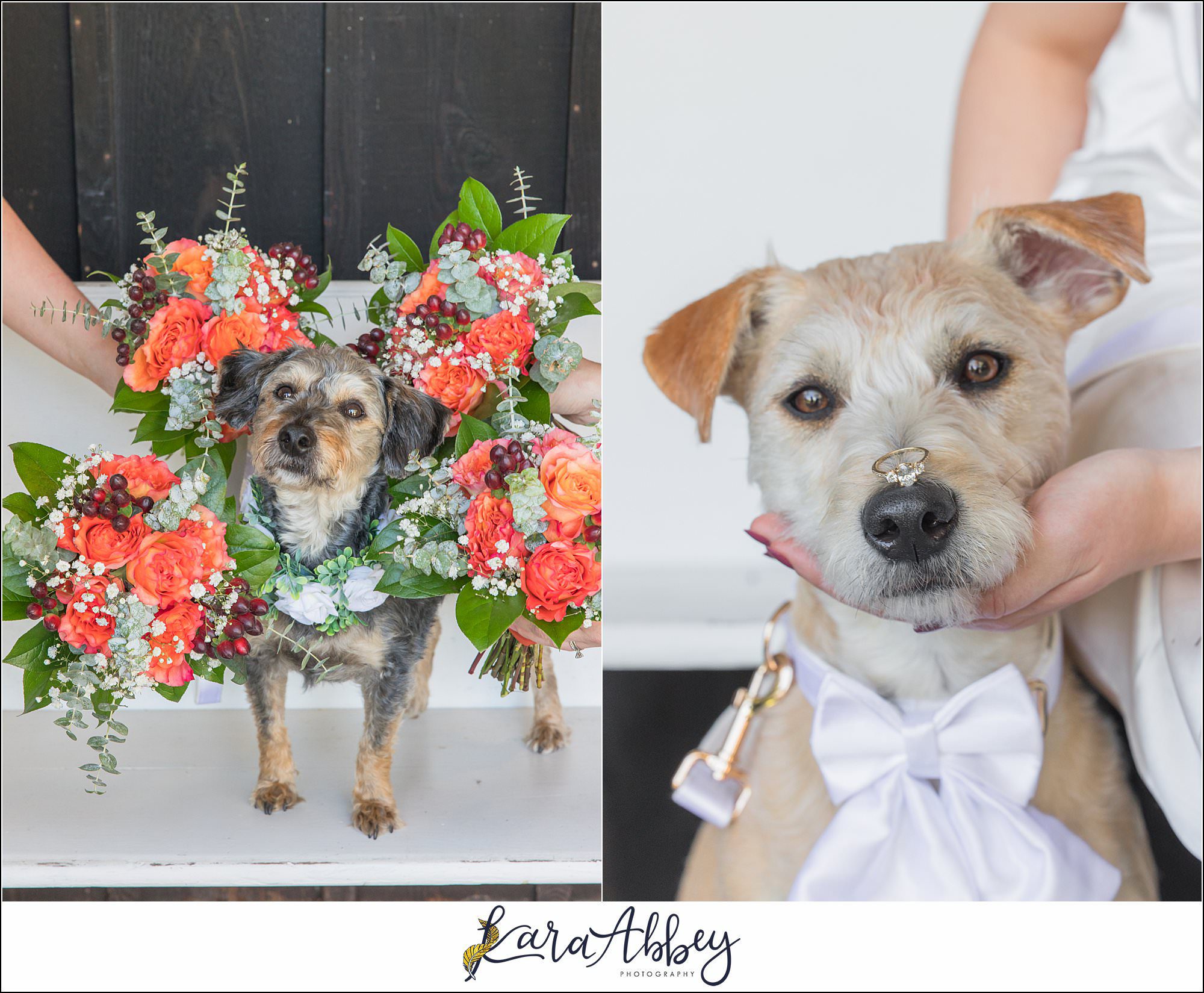 Amazing Wedding Photography by Irwin PA Photographer