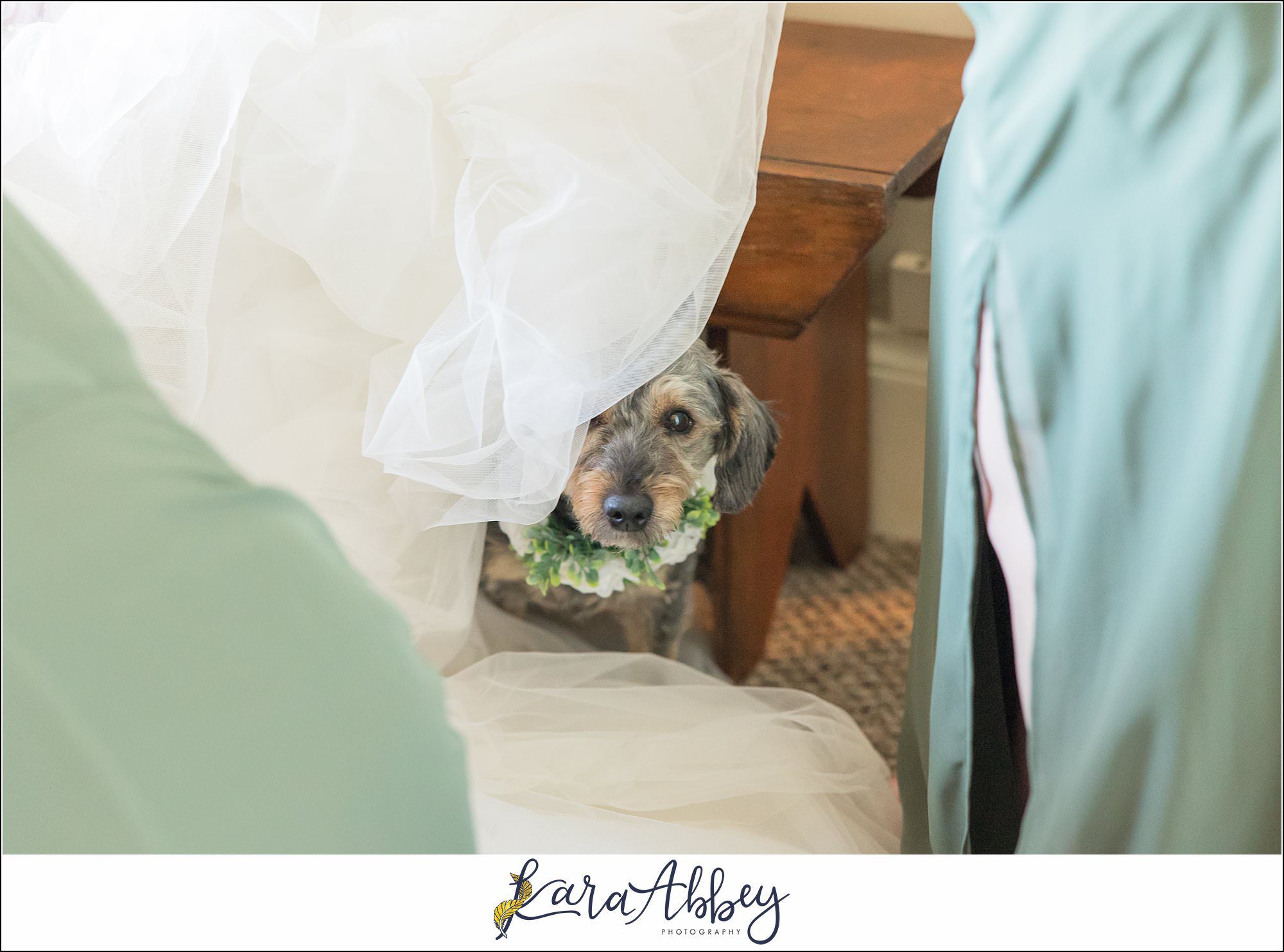 Amazing Wedding Photography by Irwin PA Photographer