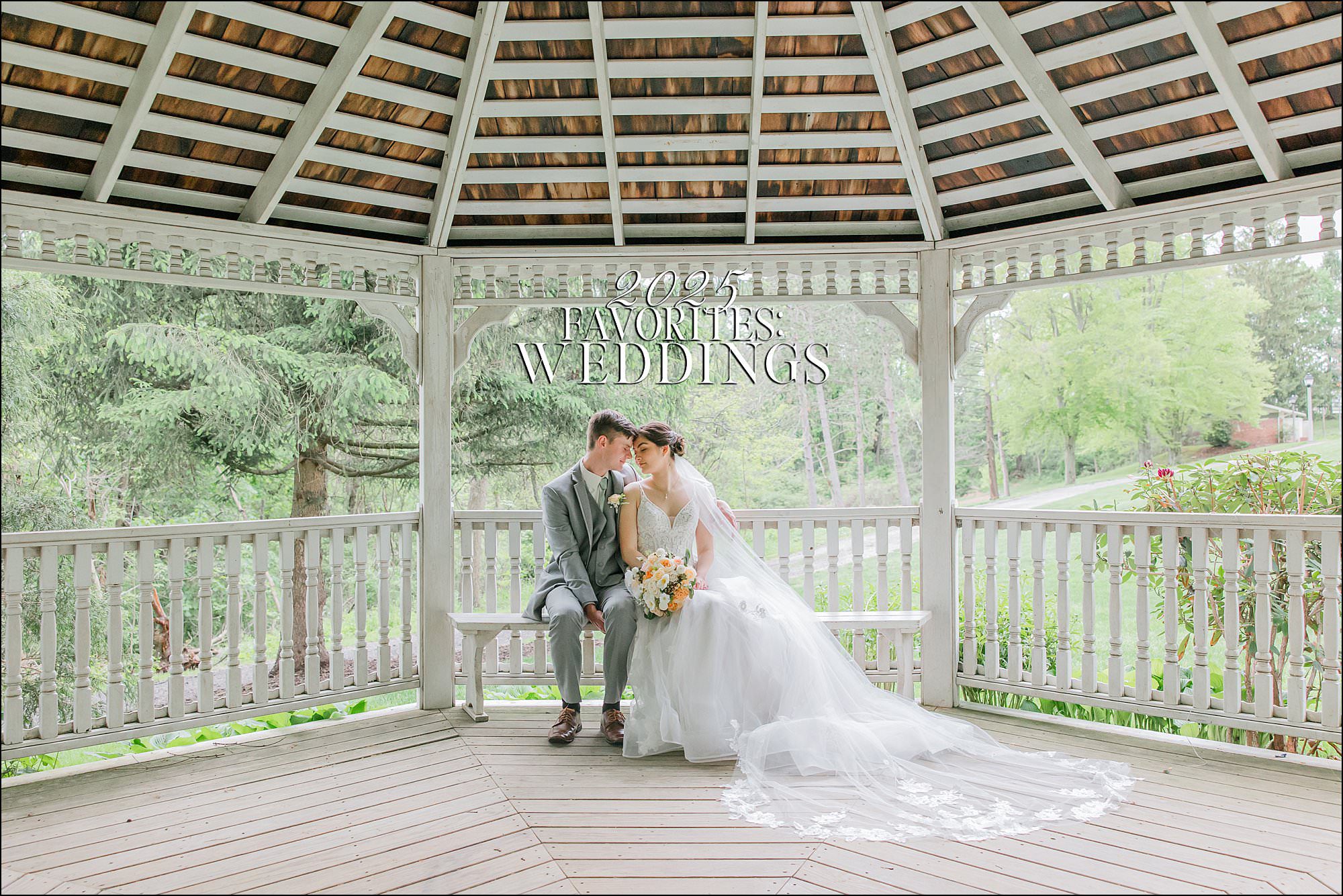Amazing Wedding Photography by Irwin PA Photographer