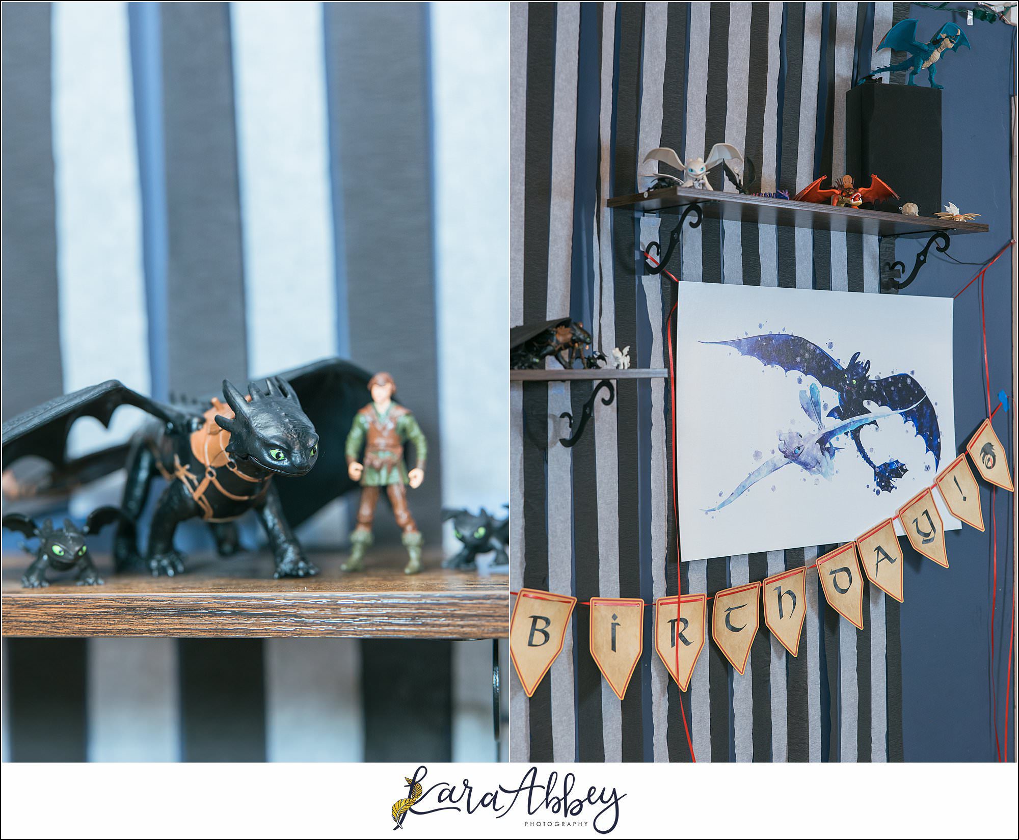 Braelynns How To Train Your Dragon Birthday Party