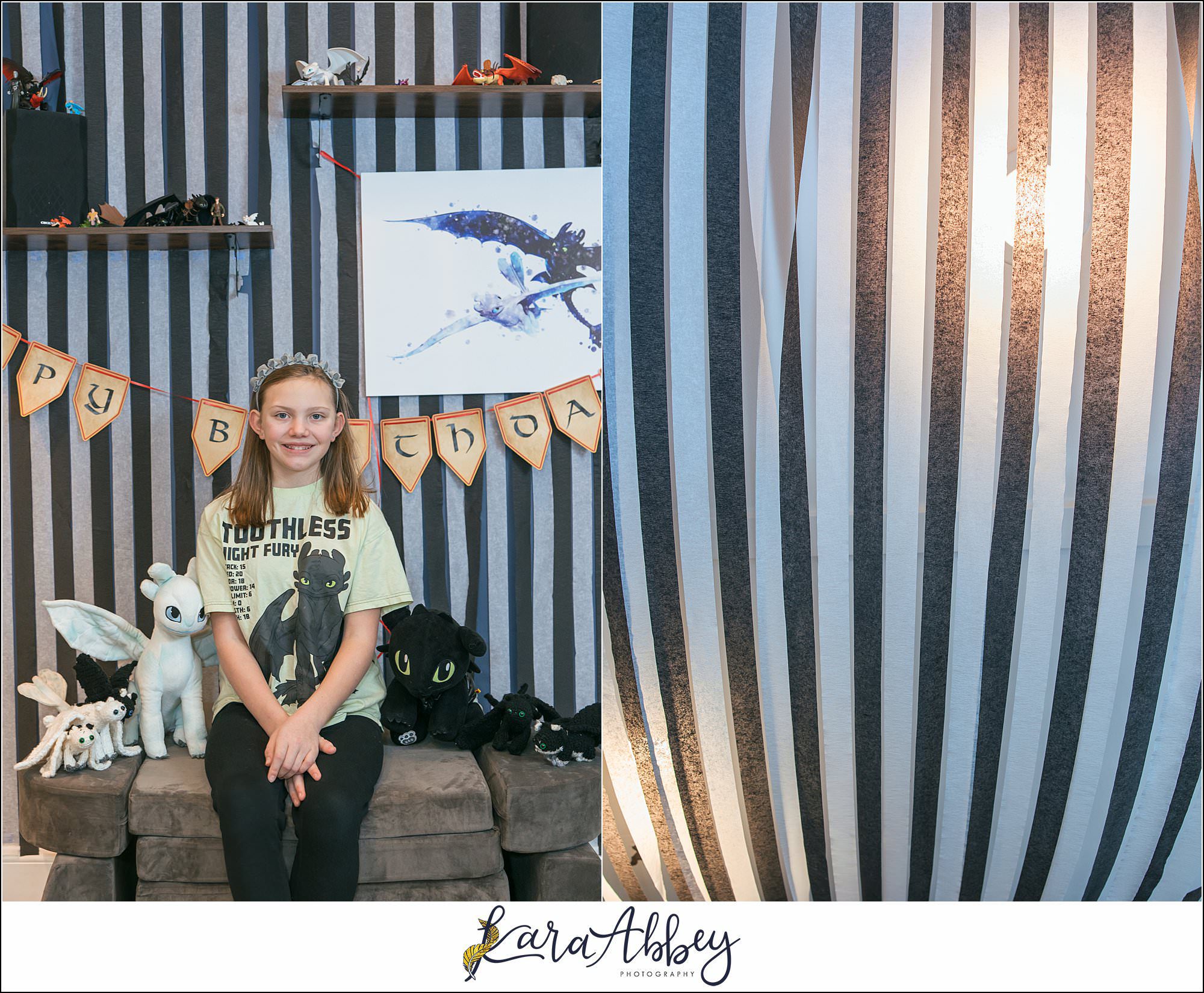 Braelynns How To Train Your Dragon Birthday Party