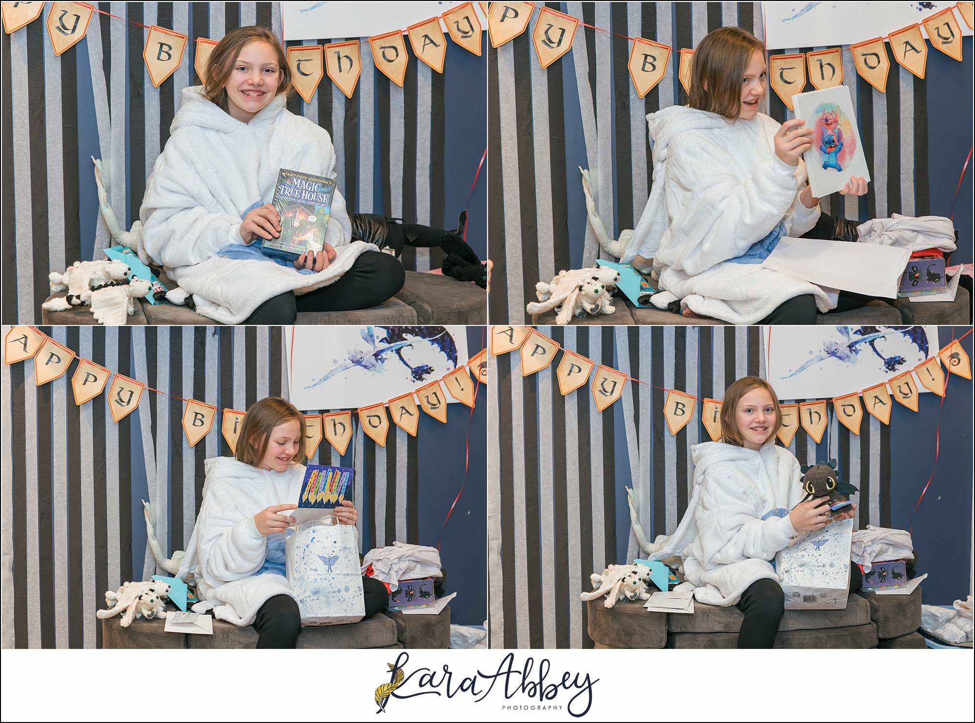 Braelynns How To Train Your Dragon Birthday Party
