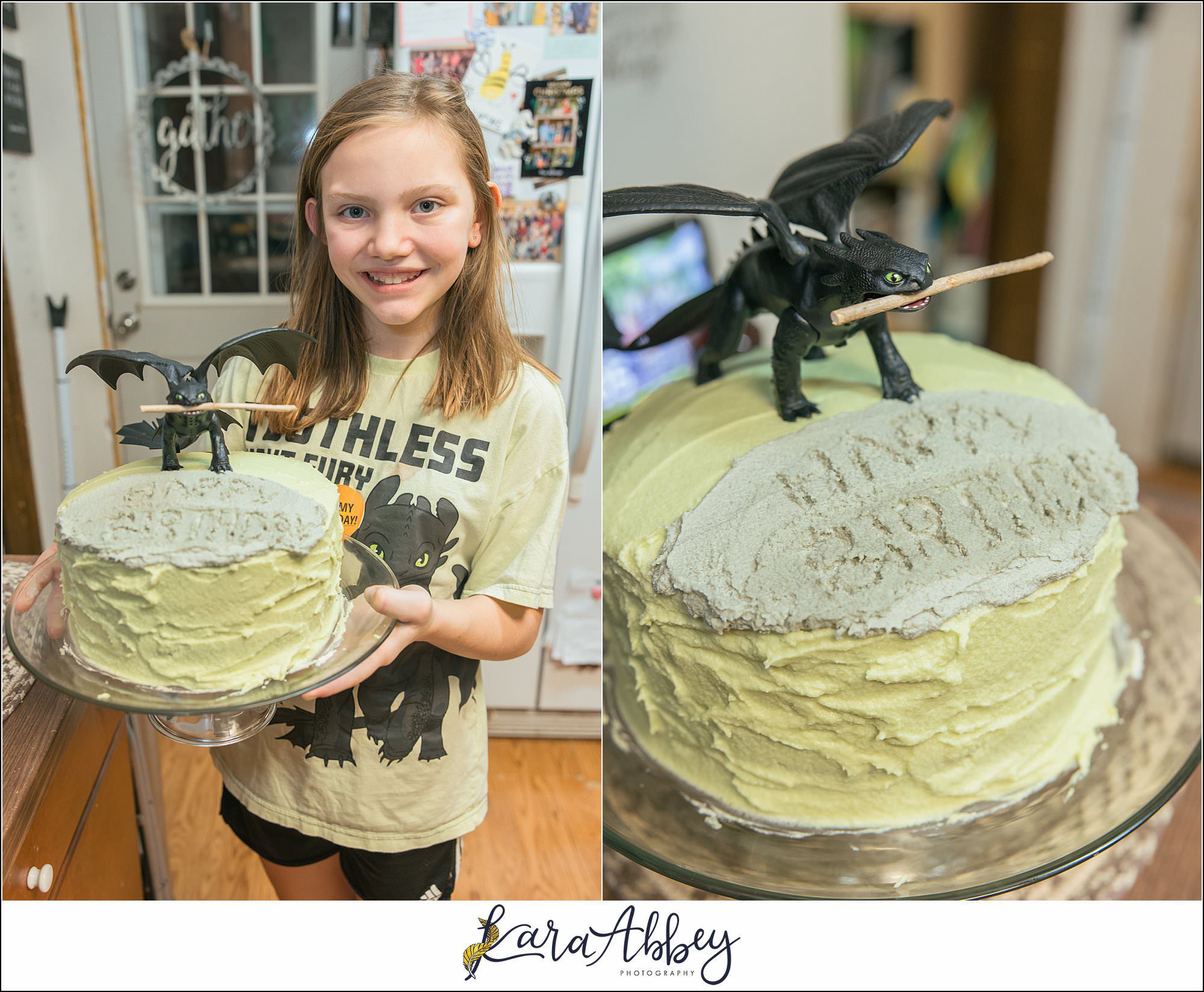 Braelynns How To Train Your Dragon Birthday Party