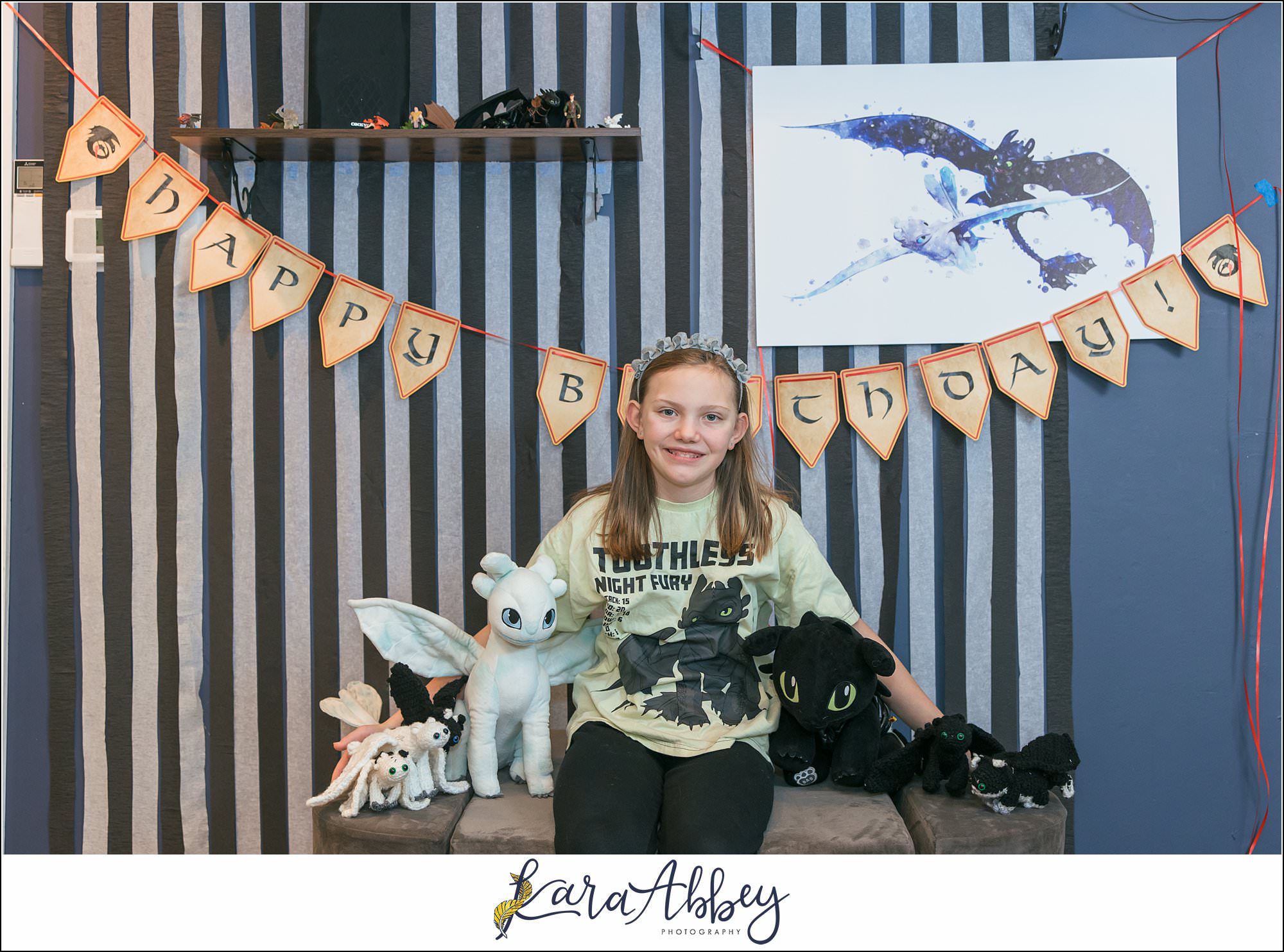 Braelynns How To Train Your Dragon Birthday Party