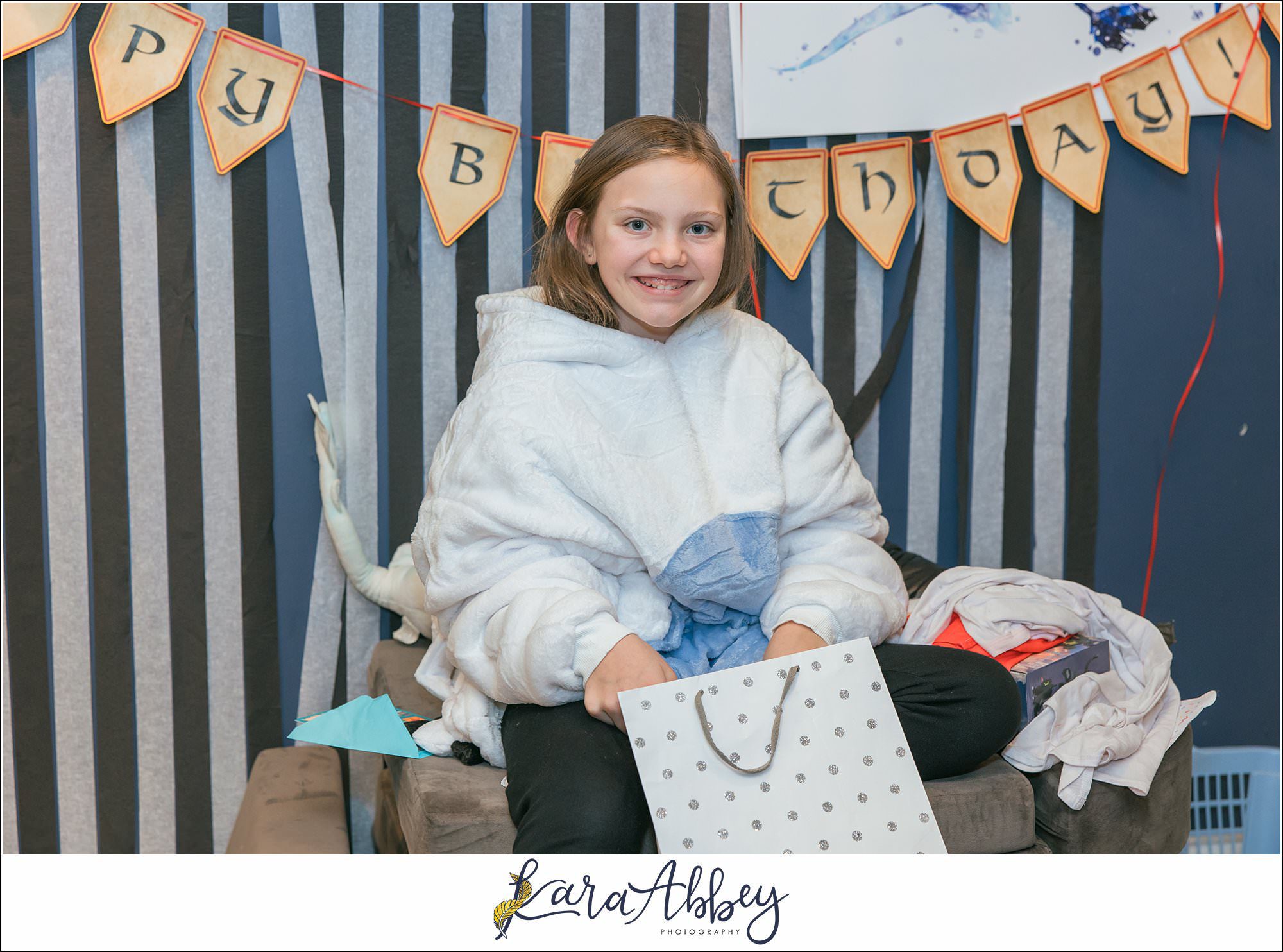Braelynns How To Train Your Dragon Birthday Party