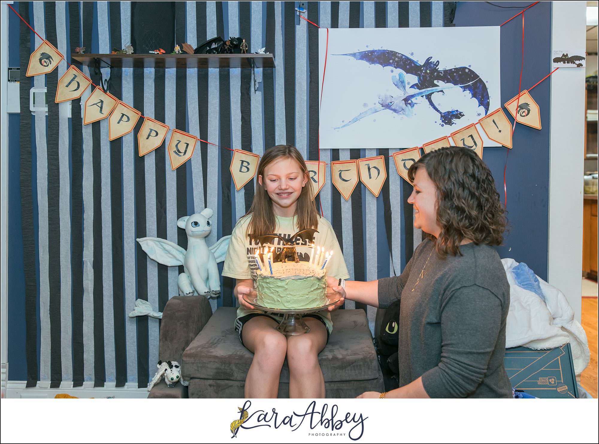 Braelynns How To Train Your Dragon Birthday Party