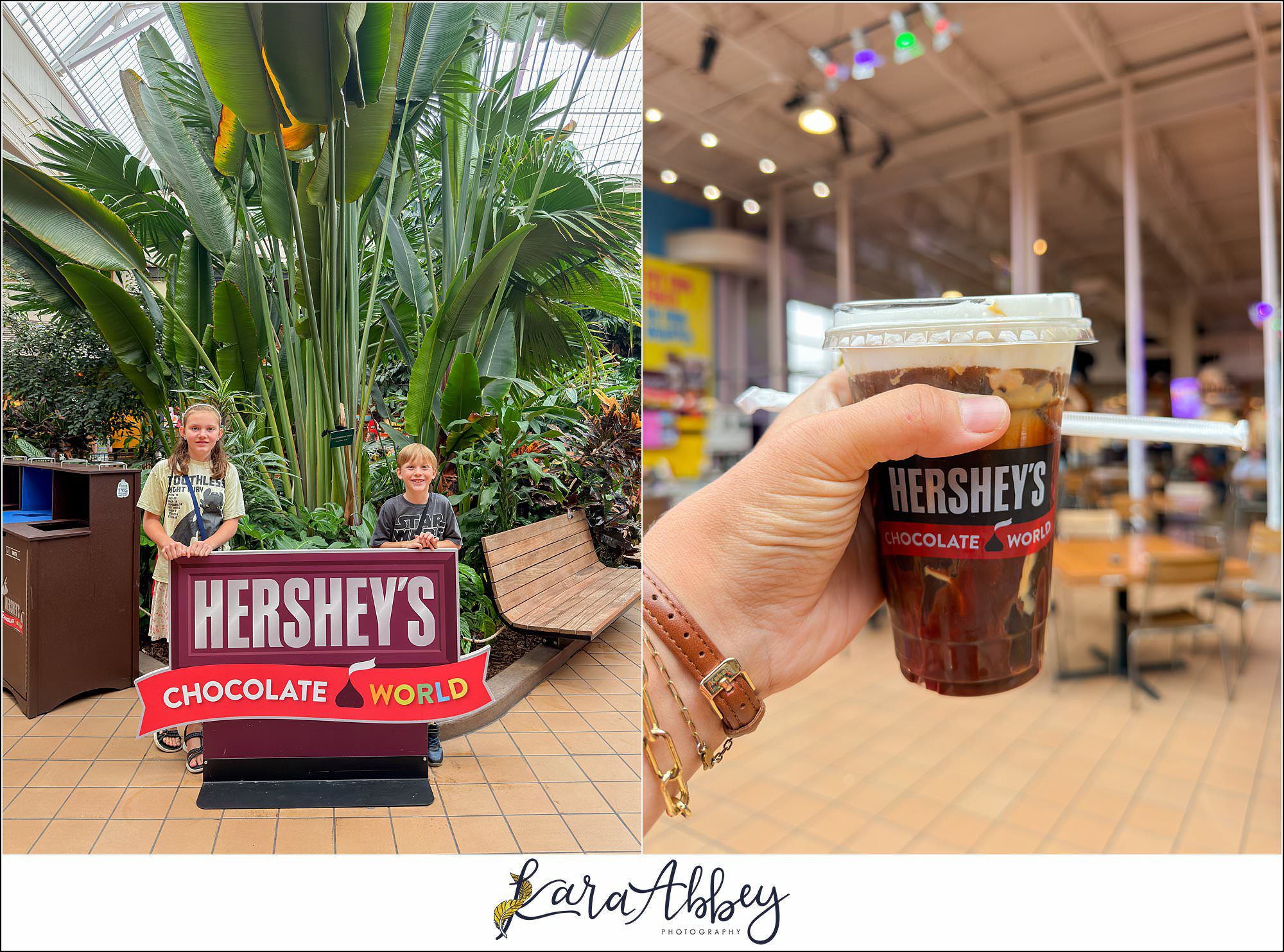We Visited Hersheypark Dark Nights But Skipped the Scares